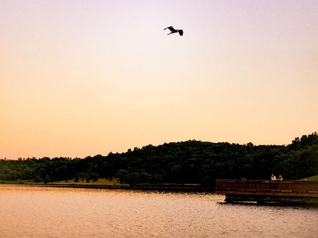 Ymca Trout Lodge Potosi 외부 사진